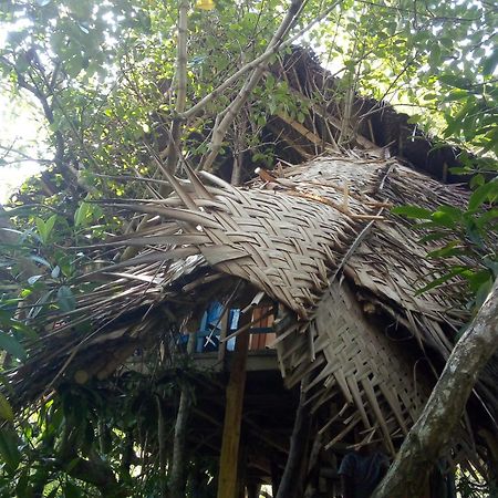 Mermaid Cabana And Tree Houses Tangalle Zewnętrze zdjęcie