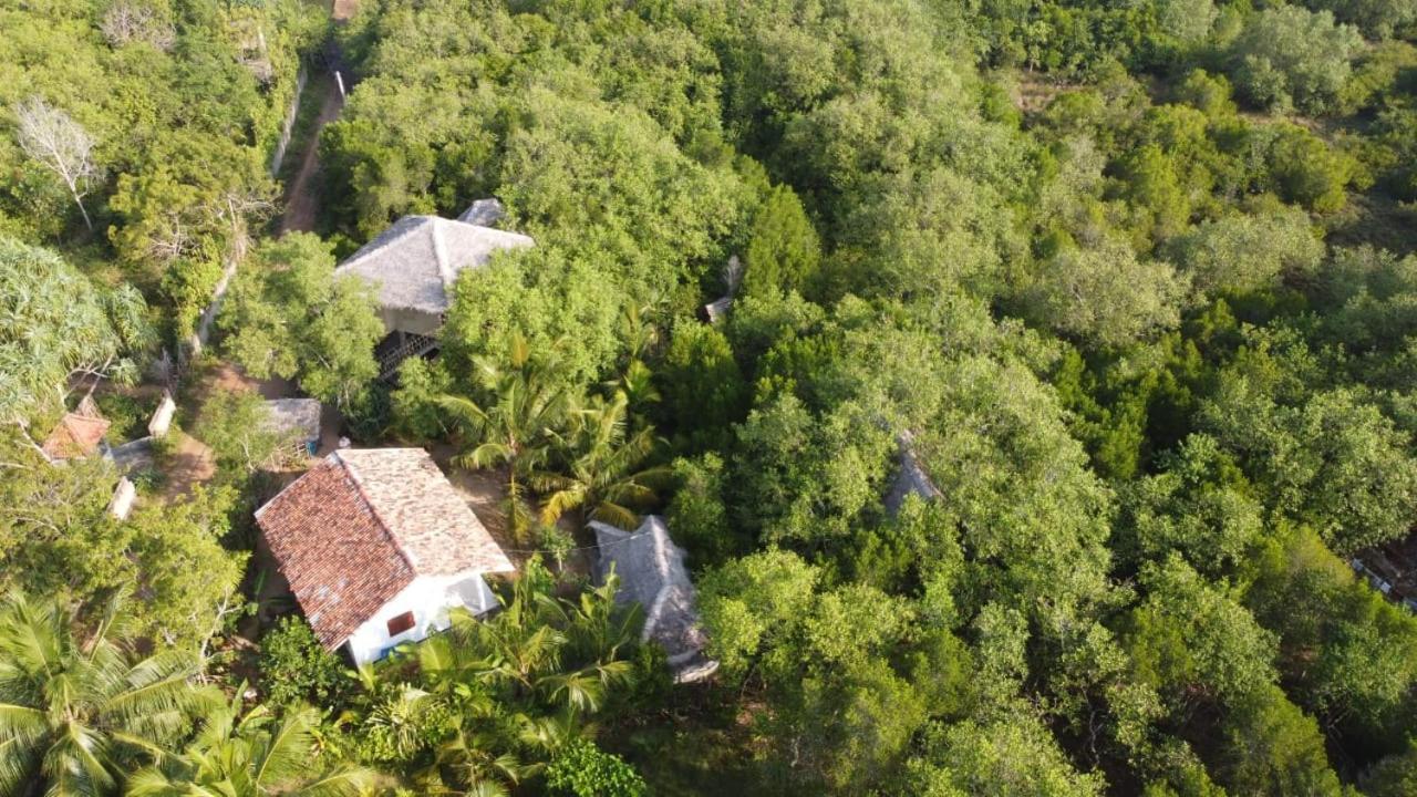 Mermaid Cabana And Tree Houses Tangalle Zewnętrze zdjęcie