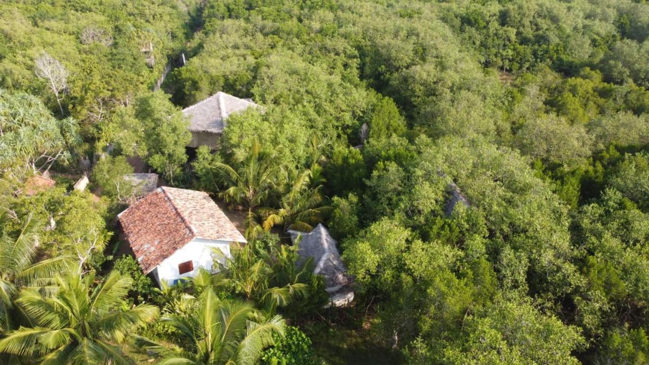 Mermaid Cabana And Tree Houses Tangalle Pokój zdjęcie