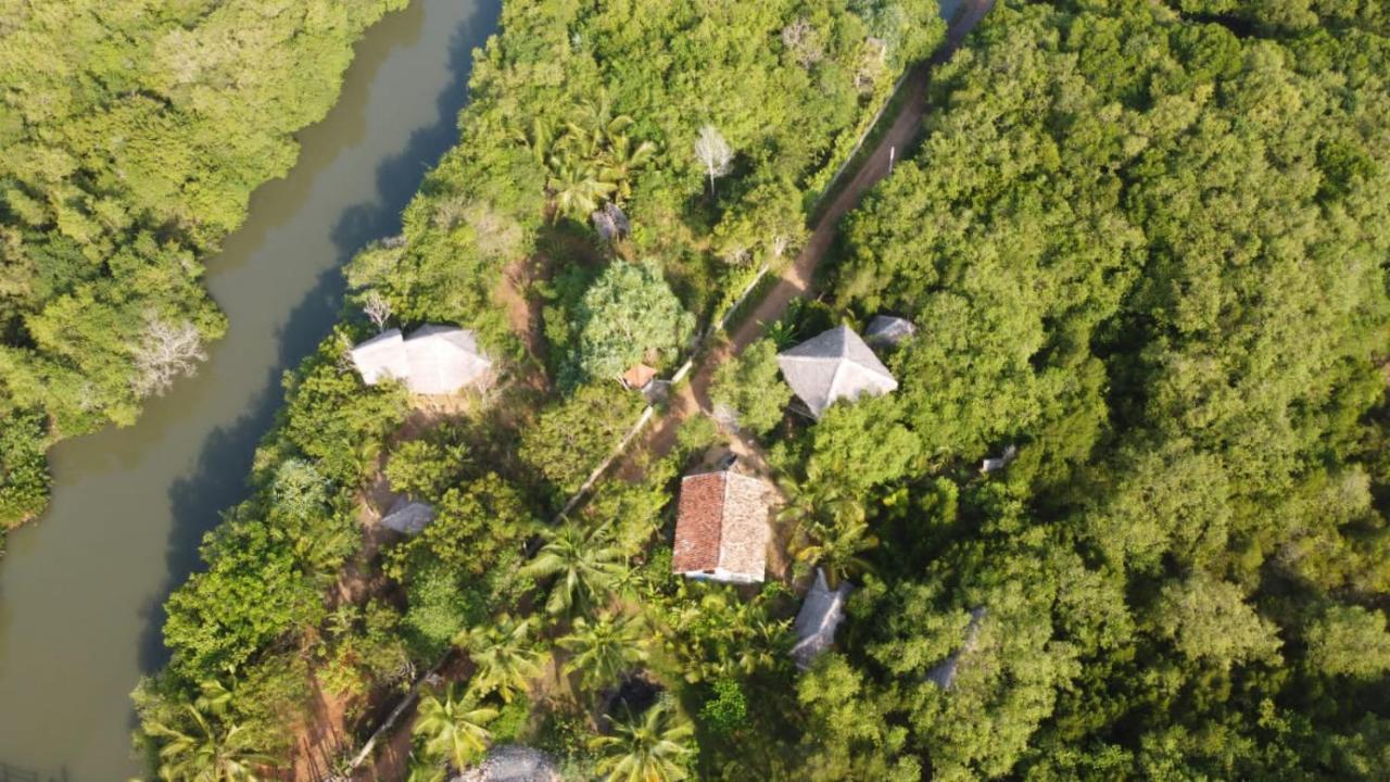 Mermaid Cabana And Tree Houses Tangalle Pokój zdjęcie