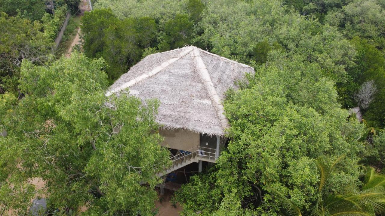 Mermaid Cabana And Tree Houses Tangalle Zewnętrze zdjęcie