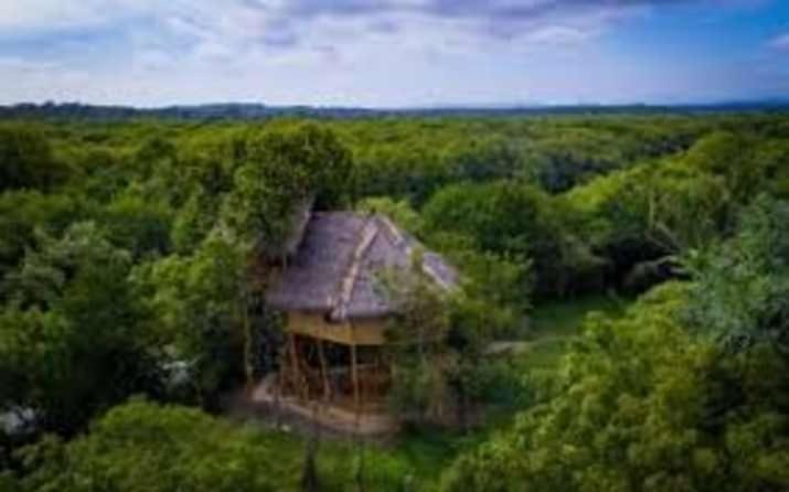 Mermaid Cabana And Tree Houses Tangalle Zewnętrze zdjęcie