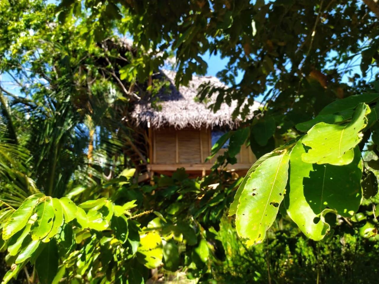 Mermaid Cabana And Tree Houses Tangalle Pokój zdjęcie