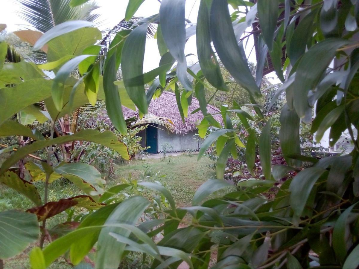 Mermaid Cabana And Tree Houses Tangalle Zewnętrze zdjęcie