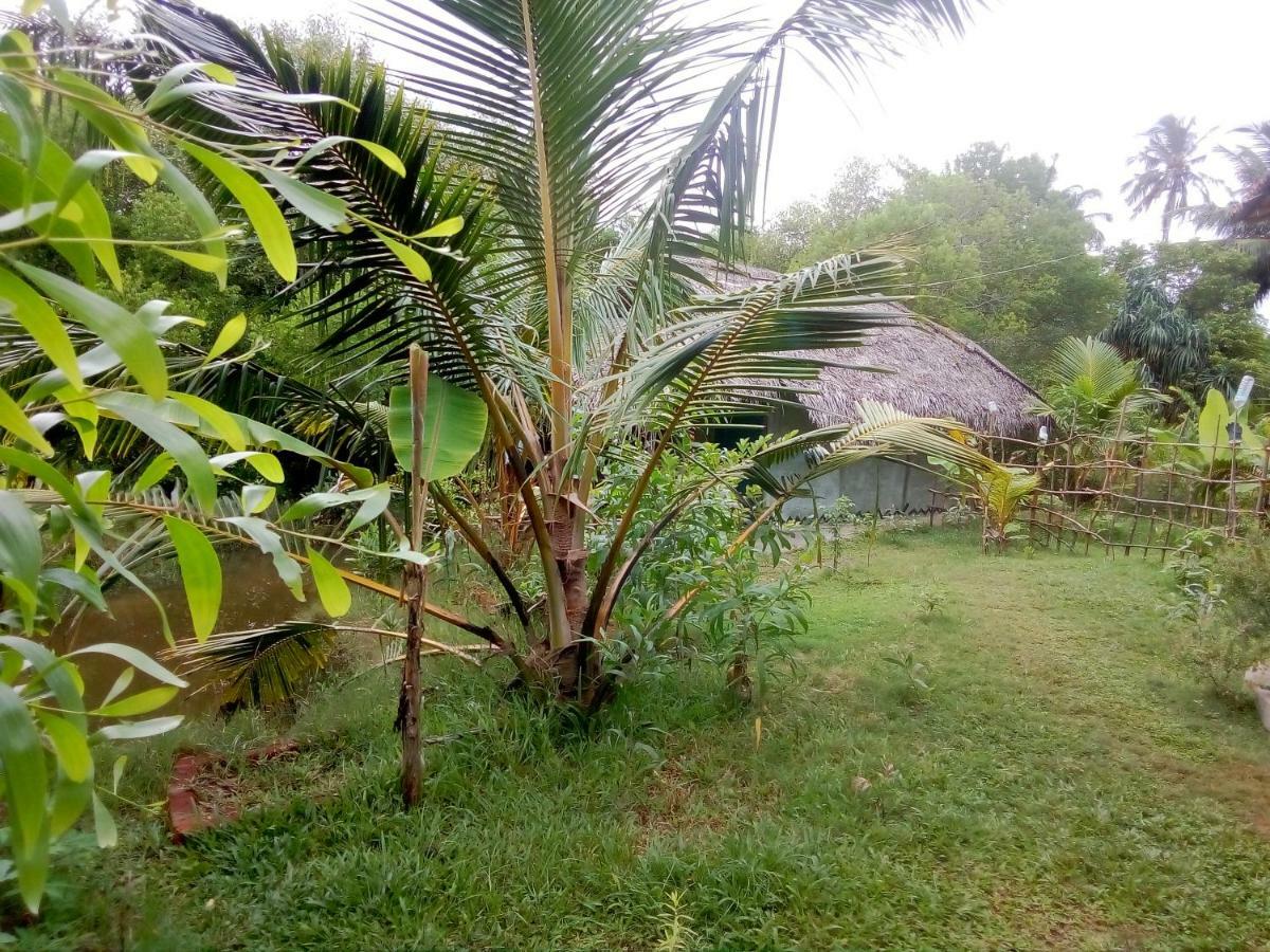 Mermaid Cabana And Tree Houses Tangalle Zewnętrze zdjęcie
