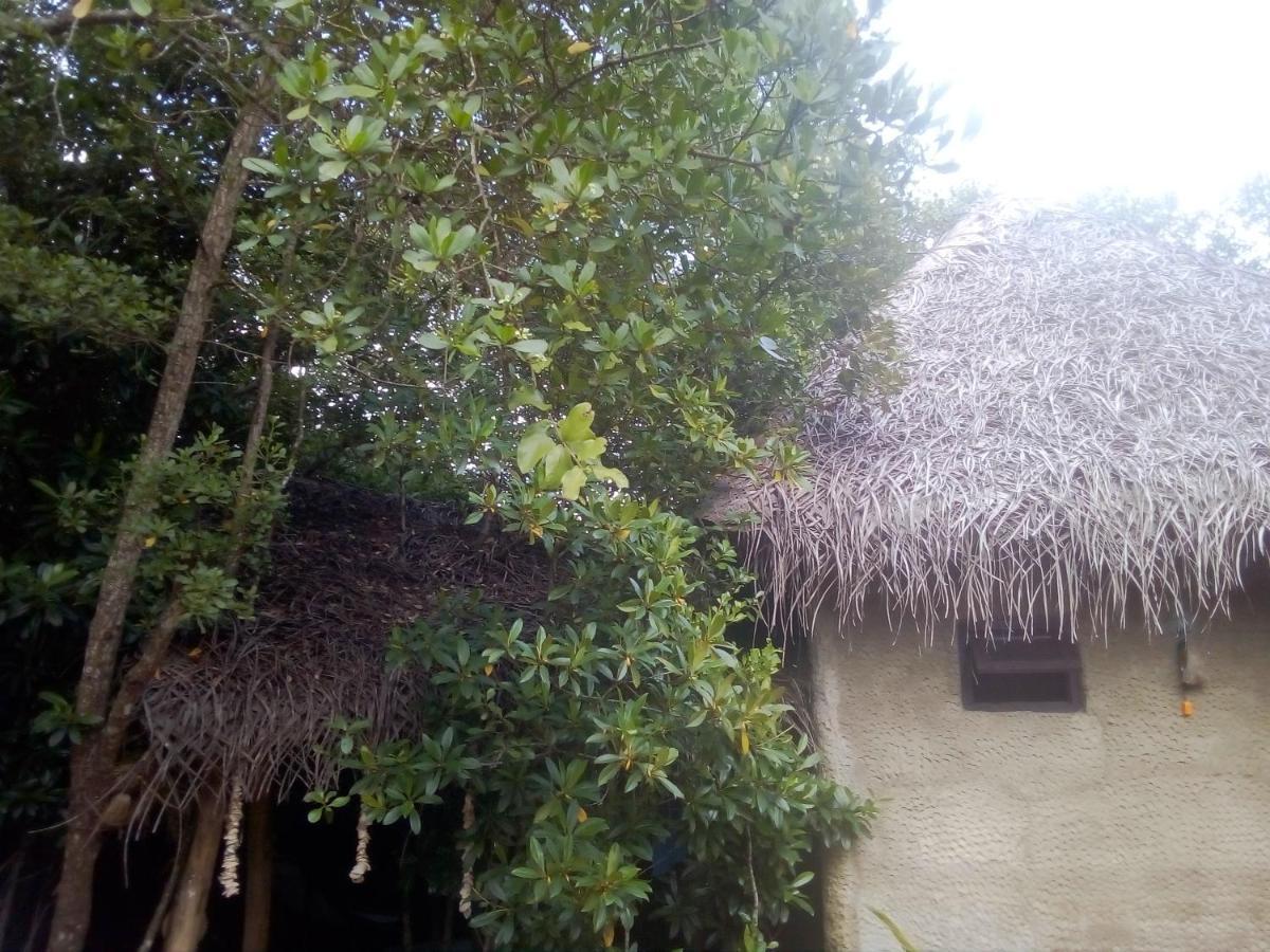 Mermaid Cabana And Tree Houses Tangalle Zewnętrze zdjęcie