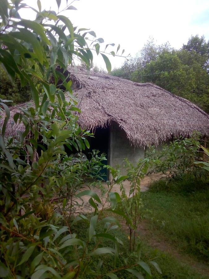 Mermaid Cabana And Tree Houses Tangalle Zewnętrze zdjęcie