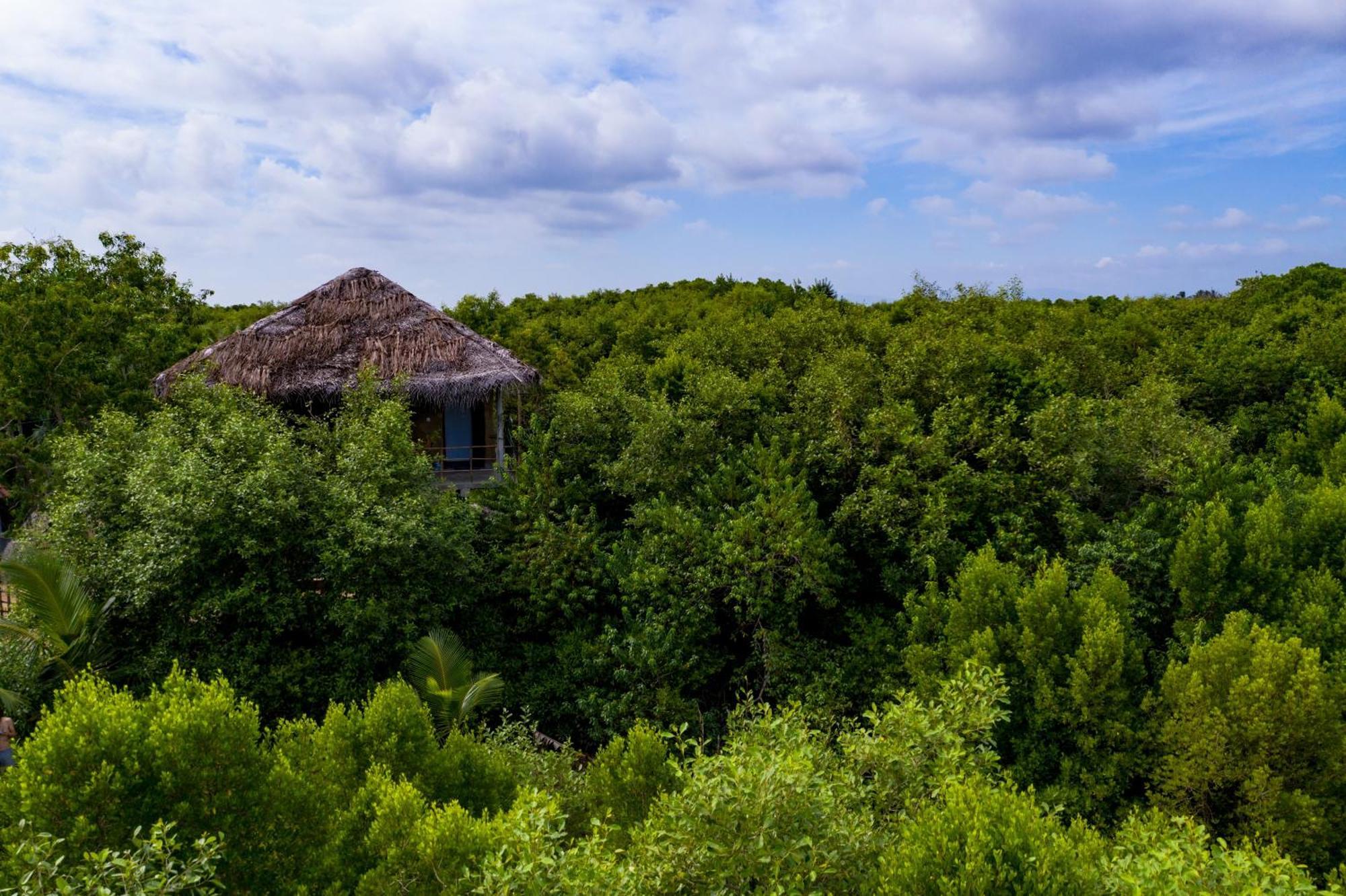 Mermaid Cabana And Tree Houses Tangalle Zewnętrze zdjęcie