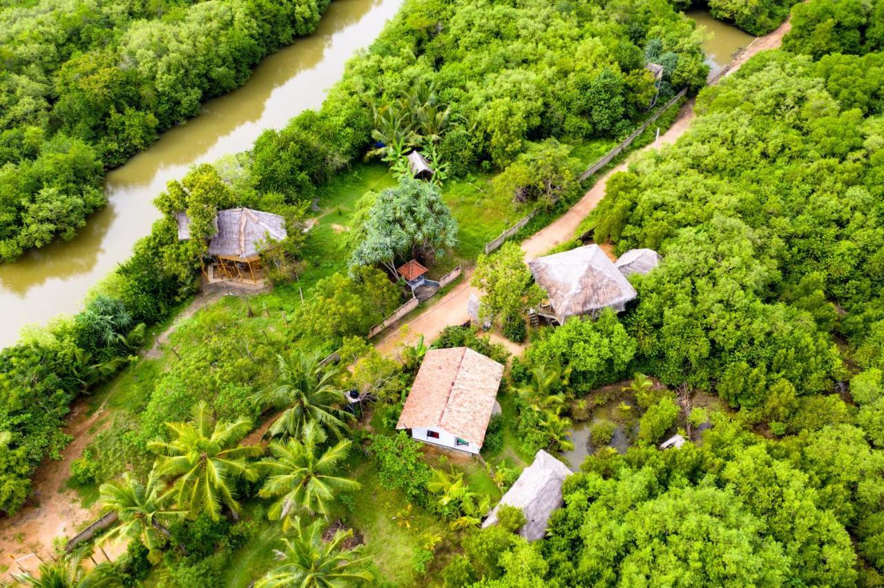 Mermaid Cabana And Tree Houses Tangalle Zewnętrze zdjęcie