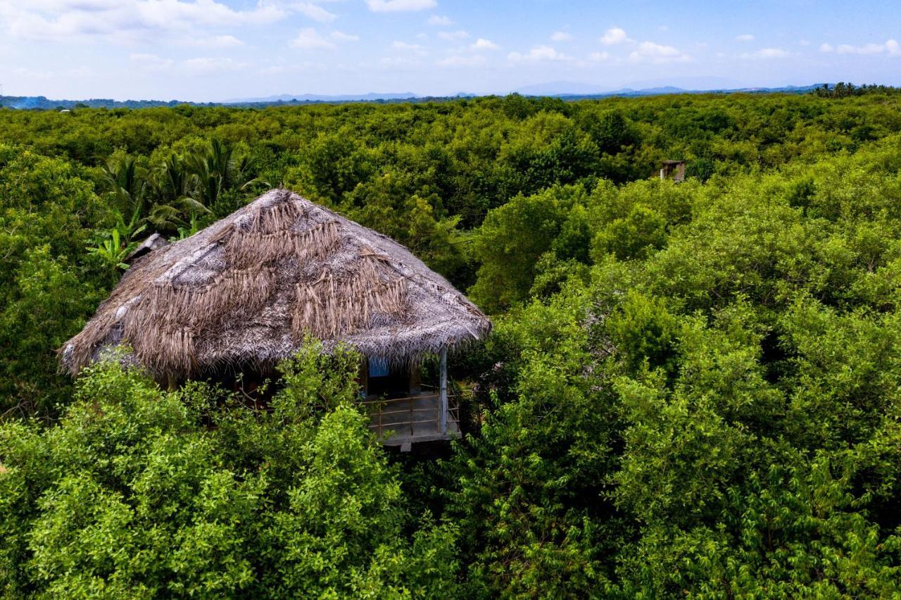 Mermaid Cabana And Tree Houses Tangalle Zewnętrze zdjęcie