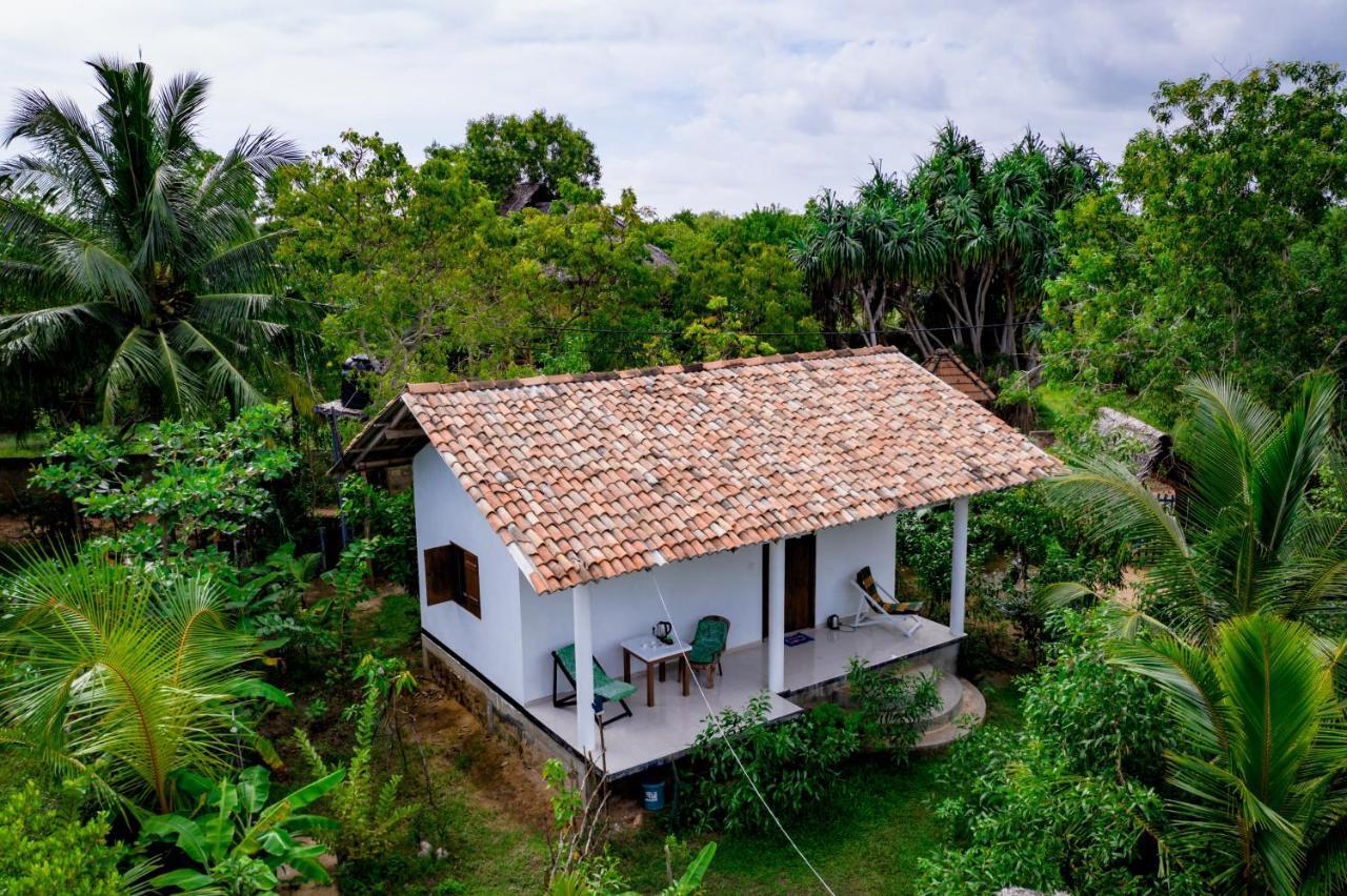 Mermaid Cabana And Tree Houses Tangalle Zewnętrze zdjęcie