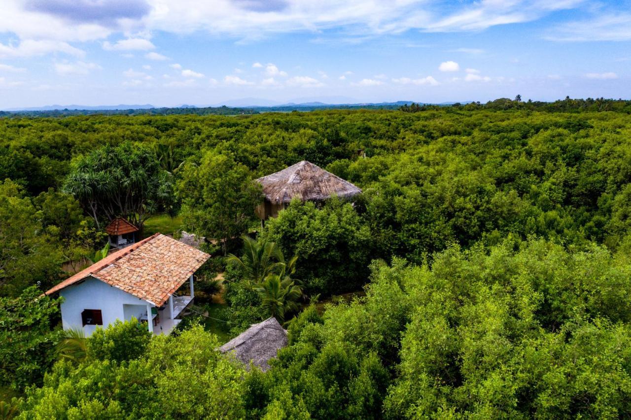 Mermaid Cabana And Tree Houses Tangalle Zewnętrze zdjęcie