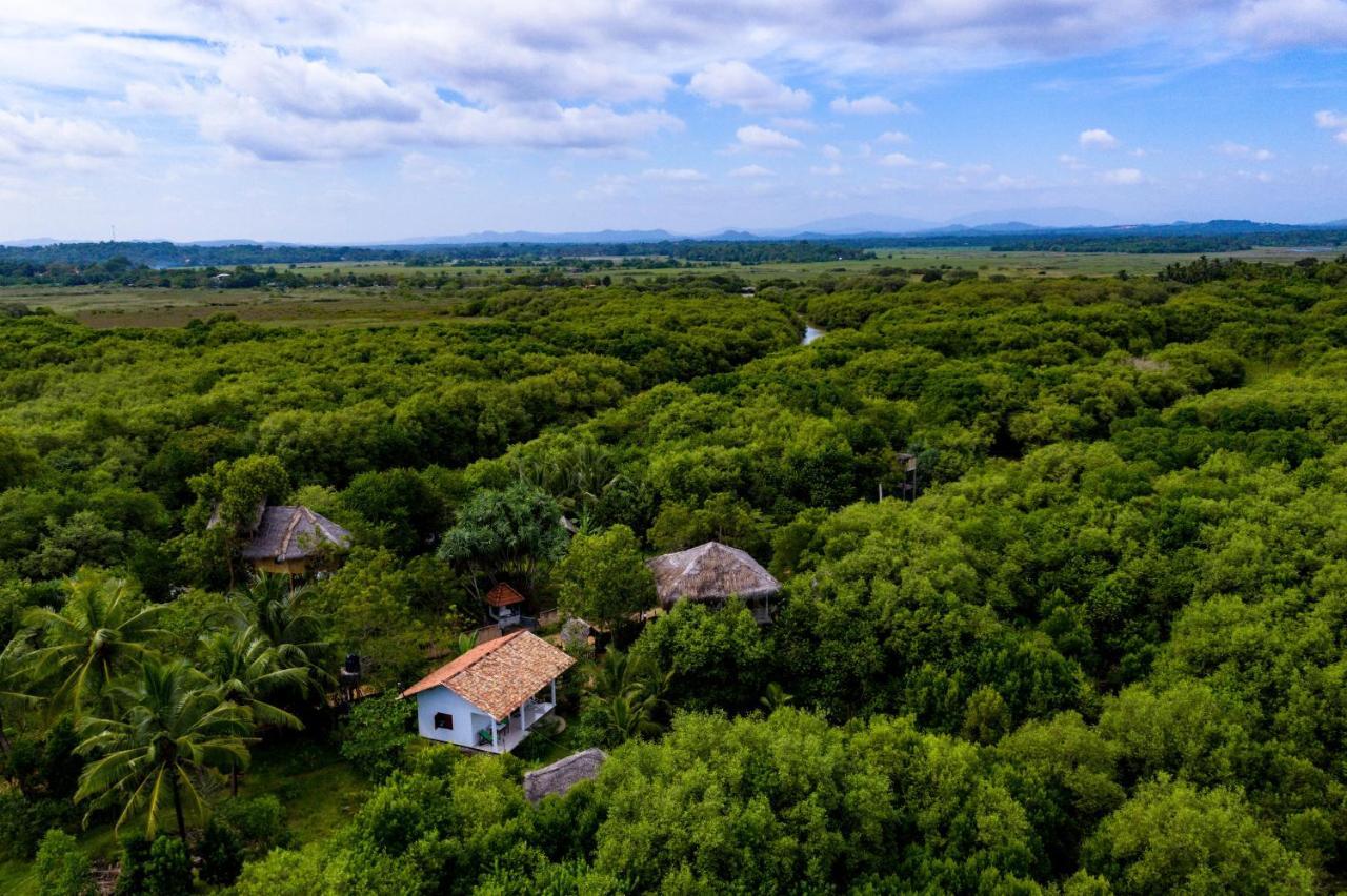 Mermaid Cabana And Tree Houses Tangalle Zewnętrze zdjęcie
