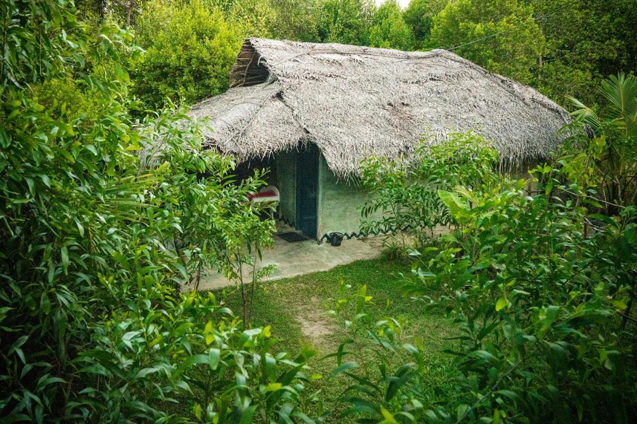 Mermaid Cabana And Tree Houses Tangalle Zewnętrze zdjęcie